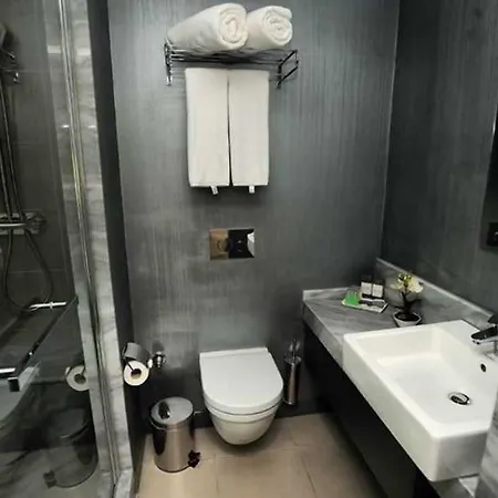 酒店 阿克尼酒店